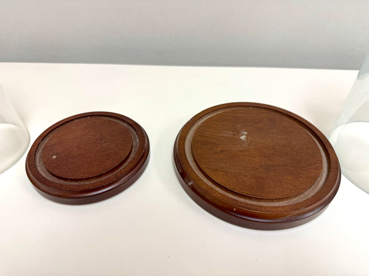 Cúpula de cristal con base de madera