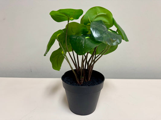 Faux Pilea Plant