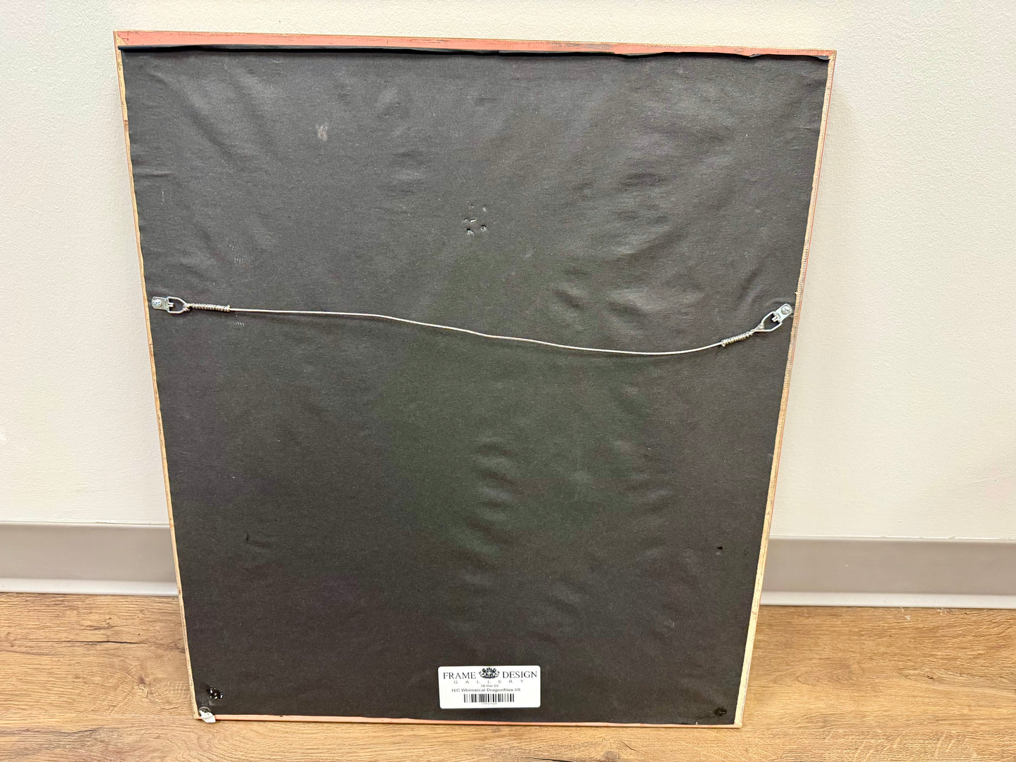 Whimsical Dragonflies I Artwork