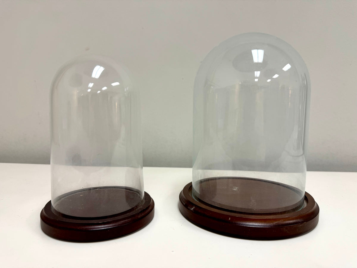 Cúpula de cristal con base de madera