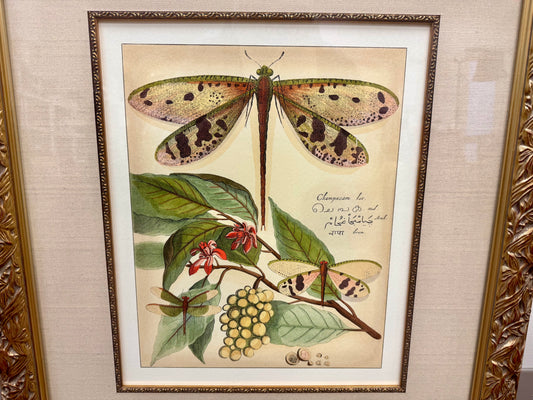 Whimsical Dragonflies I Artwork