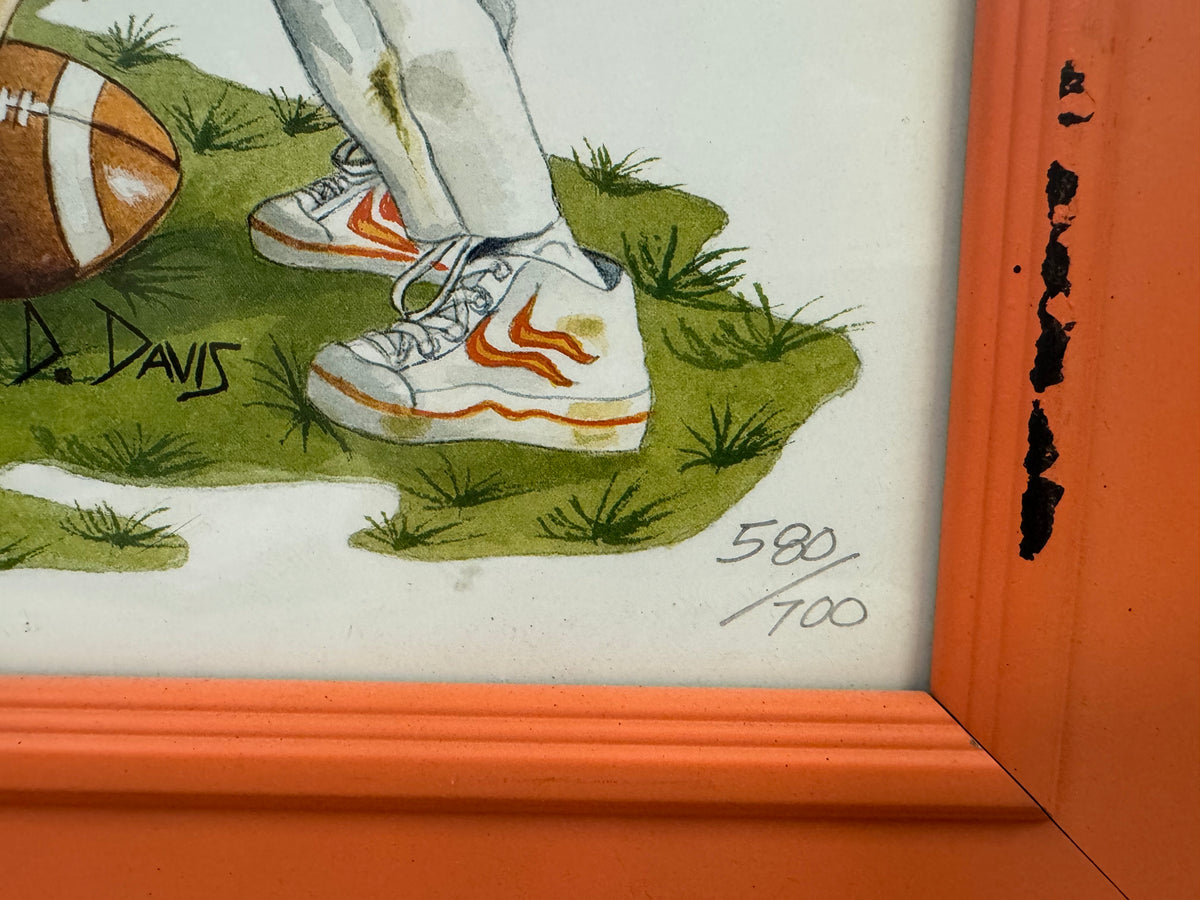 Tennessee Vols vs Florida Gators Framed Artwork