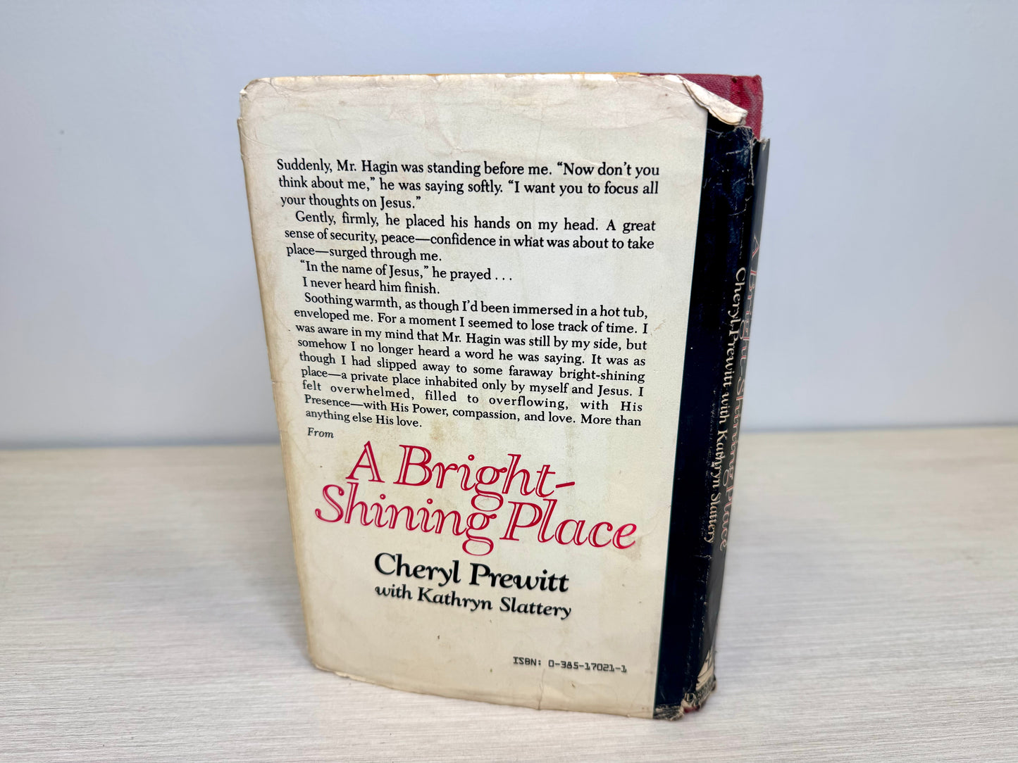 A Bright Shining Place by Cheryl Prewitt & Kathryn Slattery