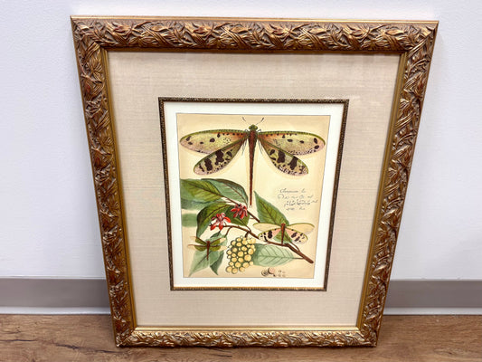 Whimsical Dragonflies I Artwork