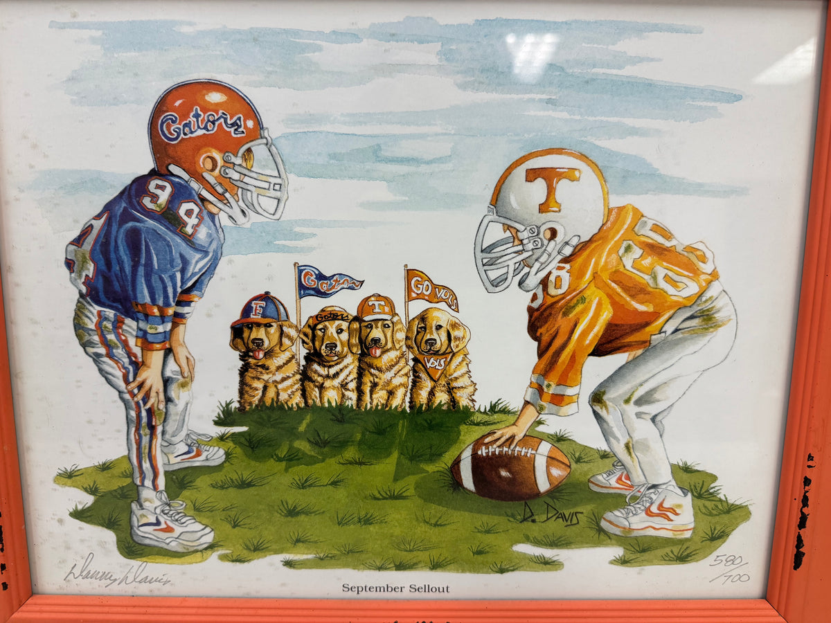 Tennessee Vols vs Florida Gators Framed Artwork