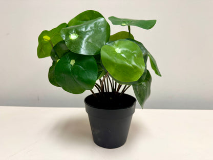 Faux Pilea Plant