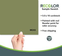 Recolor Chalk Paint Moss